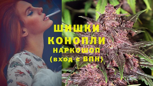 стафф Заречный
