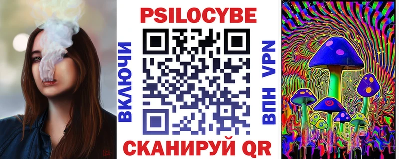 Галлюциногенные грибы Psilocybe  Назарово 