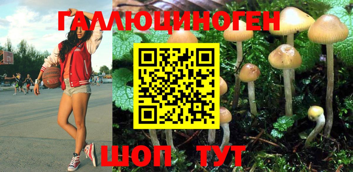 Псилоцибиновые грибы ЛСД Назарово